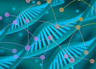 Human Genome in 4D: Mapping Structure, Function, and Dynamics Human Genome in 4D