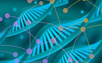 Human Genome in 4D: Mapping Structure, Function, and Dynamics Human Genome in 4D