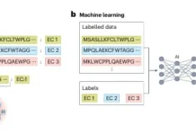 Solving a Long-Standing Genomics Bottleneck: KAIST Proposes AI-Powered Strategy for Gene Function Prediction AI Function Prediction