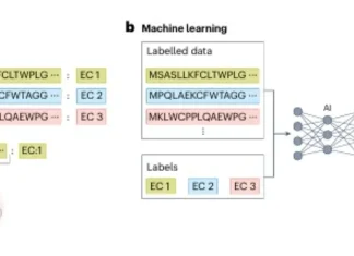 Solving a Long-Standing Genomics Bottleneck: KAIST Proposes AI-Powered Strategy for Gene Function Prediction AI Function Prediction