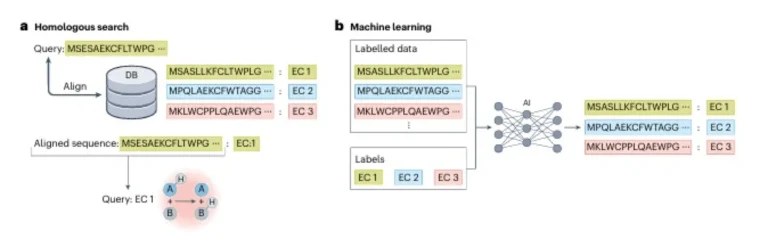 AI Function Prediction