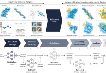 Designing Protein Binders with BoltzGen: A Unified Generative Approach BoltzGen