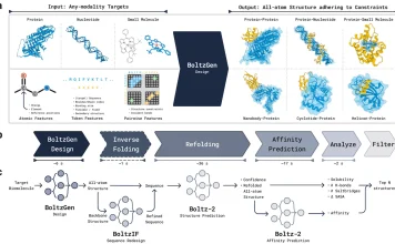 Designing Protein Binders with BoltzGen: A Unified Generative Approach BoltzGen