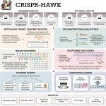 CRISPR-HAWK: Improving CRISPR with Haplotype-Aware Guide Design CRISPR-HAWK