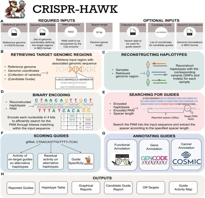 CRISPR-HAWK CRISPR-HAWK