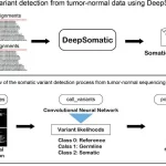 DeepSomatic: Redefining Somatic Variant Detection in the Genomic Sequencing Era DeepSomatic
