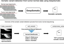 DeepSomatic: Redefining Somatic Variant Detection in the Genomic Sequencing Era DeepSomatic