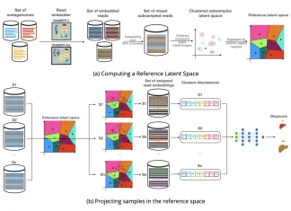 AI-Powered Metagenomics: How MetagenBERT Predicts Disease From Raw DNA Sequences MetagenBERT