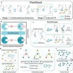 Redefining SBDD: PackDock Speeds Up Accurate Protein-Ligand Docking with Diffusion Models Overview of PackDock.