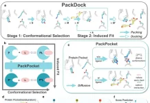 Redefining SBDD: PackDock Speeds Up Accurate Protein-Ligand Docking with Diffusion Models Overview of PackDock.