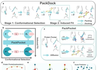 Redefining SBDD: PackDock Speeds Up Accurate Protein-Ligand Docking with Diffusion Models Overview of PackDock.