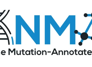 PanMAN Enables Scalable High-Resolution Pangenome Analysis PanMAN