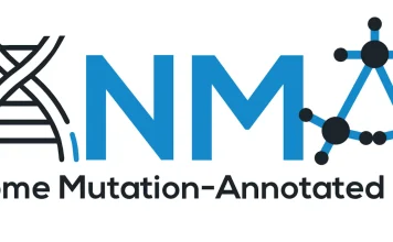 PanMAN Enables Scalable High-Resolution Pangenome Analysis PanMAN