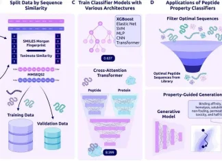 Advancing Peptide Therapeutics with PeptiVerse’s Unified Prediction Framework PeptiVerse