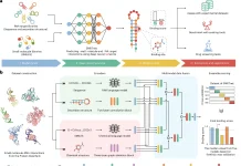 Beyond Tertiary Structures: SMRTnet’s Novel Approach to RNA Drug Discovery SMRTnet