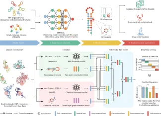 Beyond Tertiary Structures: SMRTnet’s Novel Approach to RNA Drug Discovery SMRTnet