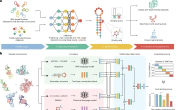 Beyond Tertiary Structures: SMRTnet’s Novel Approach to RNA Drug Discovery SMRTnet