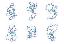 ToposBio Unveils Topos-1: An All-Atom Foundation Model for Intrinsically Disordered Proteins Topos-1