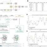 De Novo Peptide Binder Generation: How moPPIt Targets ‘Undruggable’ Proteins BindEvaluator and moPPIt