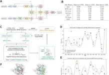 De Novo Peptide Binder Generation: How moPPIt Targets ‘Undruggable’ Proteins BindEvaluator and moPPIt