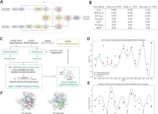 De Novo Peptide Binder Generation: How moPPIt Targets ‘Undruggable’ Proteins BindEvaluator and moPPIt