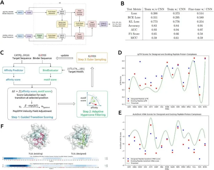BindEvaluator and moPPIt BindEvaluator and moPPIt