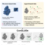 ConGLUDe: Toward General-Purpose Foundation Models for Drug Discovery Joint training of ConGLUDe on structure- and ligandbased data