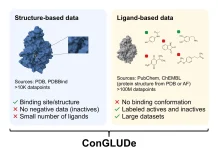 ConGLUDe: Toward General-Purpose Foundation Models for Drug Discovery Joint training of ConGLUDe on structure- and ligandbased data