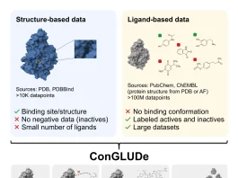 ConGLUDe: Toward General-Purpose Foundation Models for Drug Discovery Joint training of ConGLUDe on structure- and ligandbased data