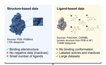 ConGLUDe: Toward General-Purpose Foundation Models for Drug Discovery Joint training of ConGLUDe on structure- and ligandbased data