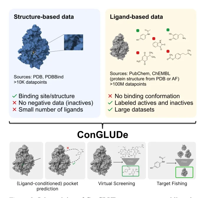 Joint training of ConGLUDe on structure- and ligandbased data