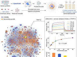 DrugCLIP Enables High-Throughput Virtual Screening Across the Human Proteome DrugCLIP