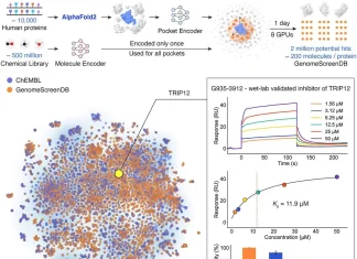 DrugCLIP Enables High-Throughput Virtual Screening Across the Human Proteome DrugCLIP