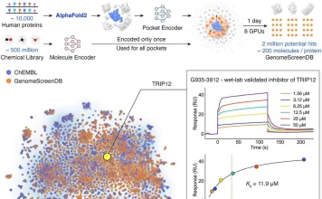 DrugCLIP Enables High-Throughput Virtual Screening Across the Human Proteome DrugCLIP
