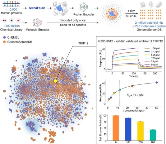 DrugCLIP Enables High-Throughput Virtual Screening Across the Human Proteome DrugCLIP
