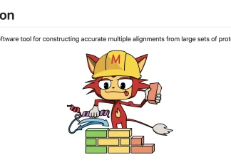 Beyond the Sequence: How FoldMason is Redefining Multiple Protein Structure Alignment at Scale FoldMason