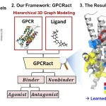 How AI Predicts Whether a Drug Actually Works—Not Just Fits GPCRact