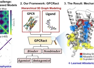 How AI Predicts Whether a Drug Actually Works—Not Just Fits GPCRact