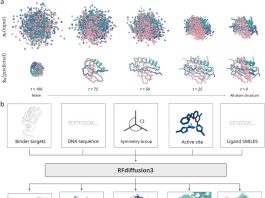 Transforming All-Atom De Novo Design of Protein Using RFdiffusion3 RFdiffusion3.