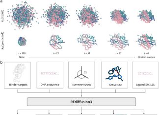 Transforming All-Atom De Novo Design of Protein Using RFdiffusion3 RFdiffusion3.