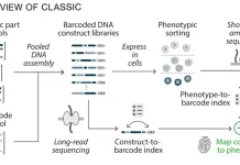 Scientists Introduce ‘CLASSIC’ Platform Enabling AI-Driven Genetic Circuit Design Overview of CLASSIC