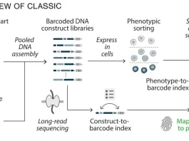 Scientists Introduce ‘CLASSIC’ Platform Enabling AI-Driven Genetic Circuit Design Overview of CLASSIC