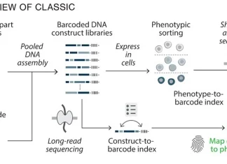 Scientists Introduce ‘CLASSIC’ Platform Enabling AI-Driven Genetic Circuit Design Overview of CLASSIC