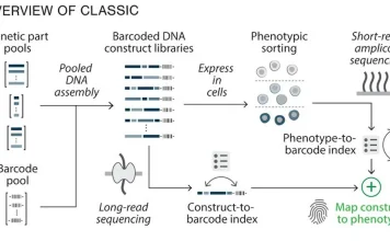 Scientists Introduce ‘CLASSIC’ Platform Enabling AI-Driven Genetic Circuit Design Overview of CLASSIC