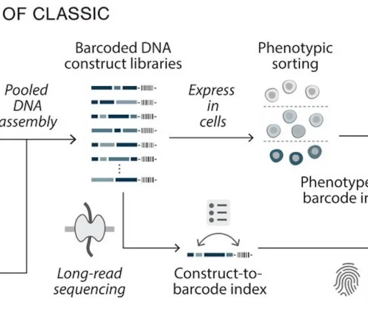 Scientists Introduce ‘CLASSIC’ Platform Enabling AI-Driven Genetic Circuit Design Overview of CLASSIC