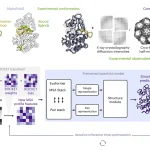 ROCKET Transforms AlphaFold2 into an Experiment-Driven Structure Modeling Tool ROCKET