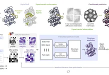 ROCKET Transforms AlphaFold2 into an Experiment-Driven Structure Modeling Tool ROCKET