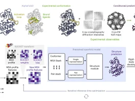 ROCKET Transforms AlphaFold2 into an Experiment-Driven Structure Modeling Tool ROCKET