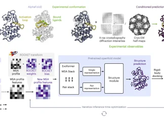 ROCKET Transforms AlphaFold2 into an Experiment-Driven Structure Modeling Tool ROCKET