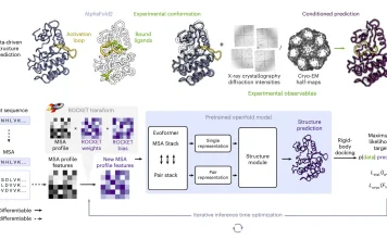 ROCKET Transforms AlphaFold2 into an Experiment-Driven Structure Modeling Tool ROCKET